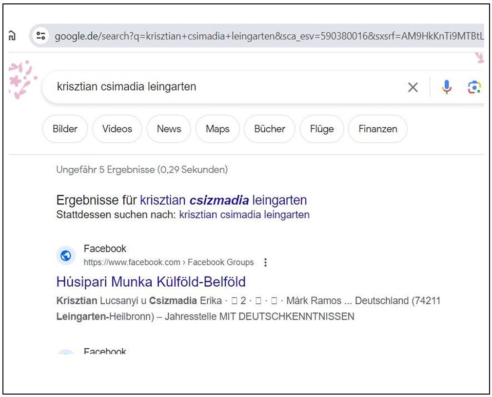 Bis zur Facebook-Gruppe eines Fleischunternehmens:  Google-Suchergebnisse zu einem Namen mit Bezug zur Adresse in Leingarten